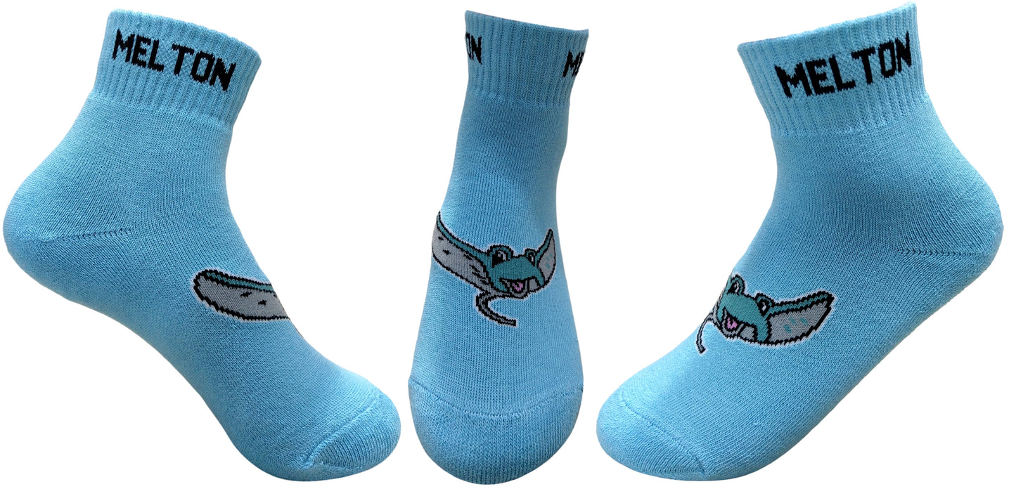 Melton Rays Socks