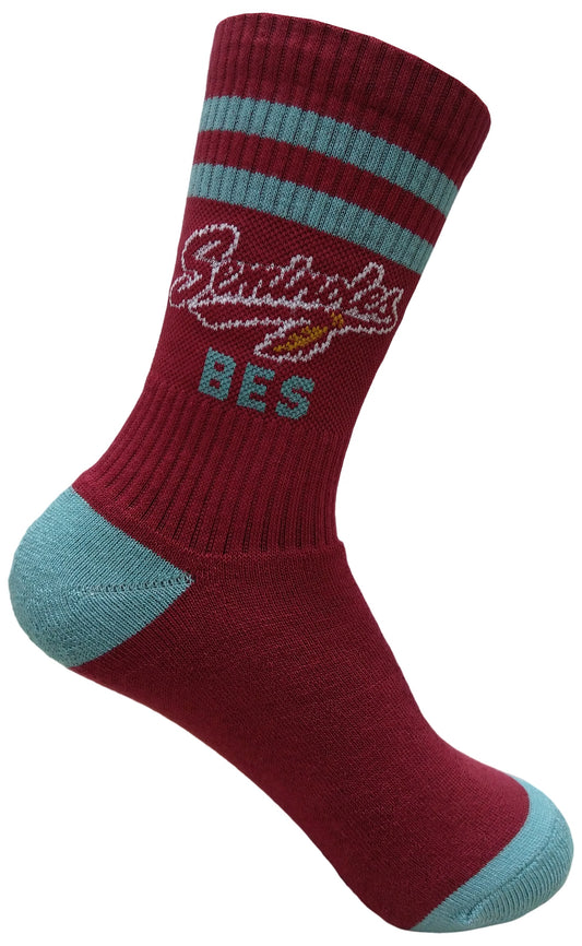 Bluewater Seminoles Socks