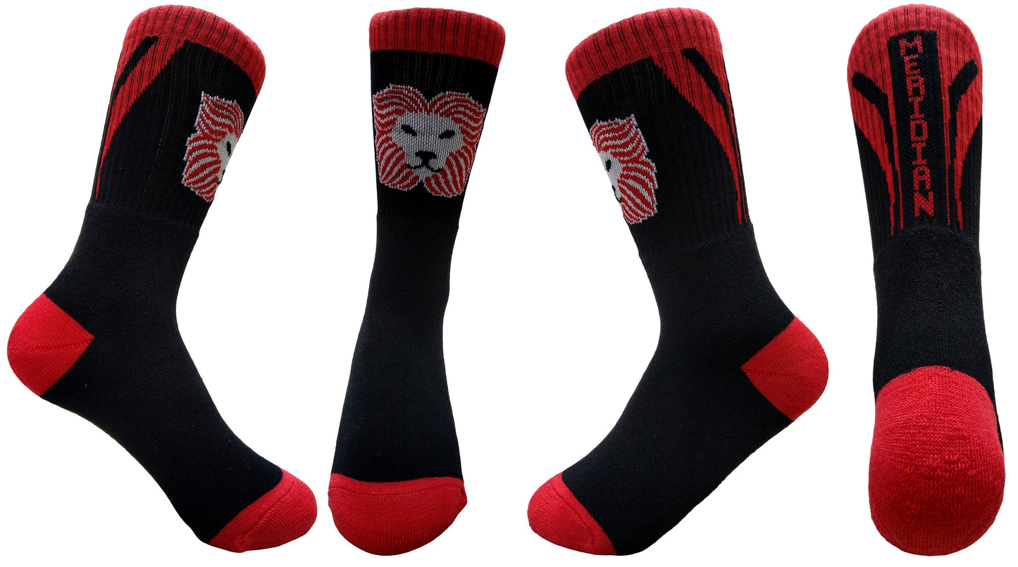 Meridian World School Socks