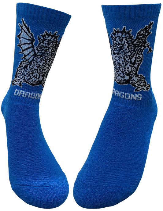 Oak Park Dragons Socks