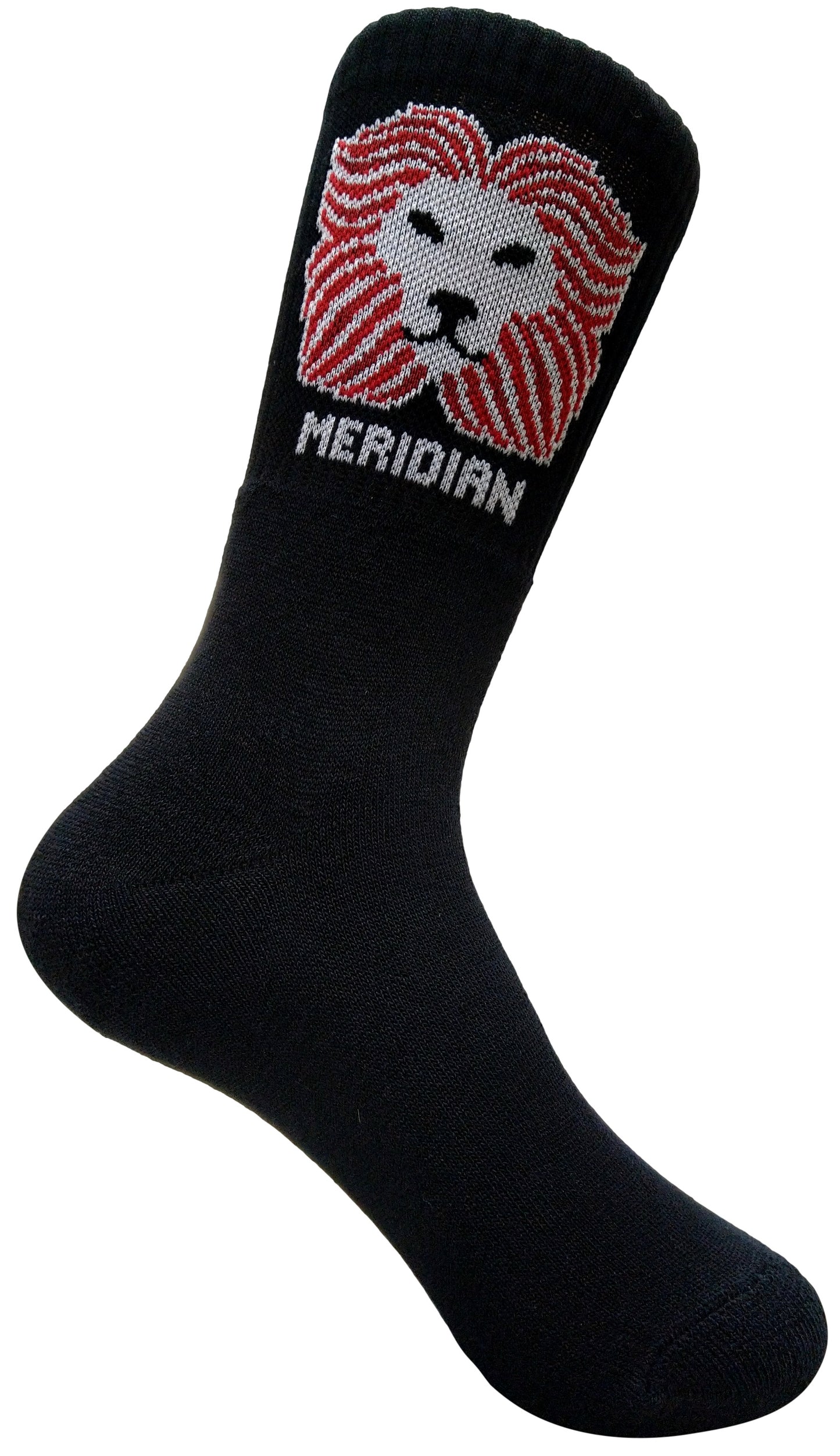 Meridian World School Socks