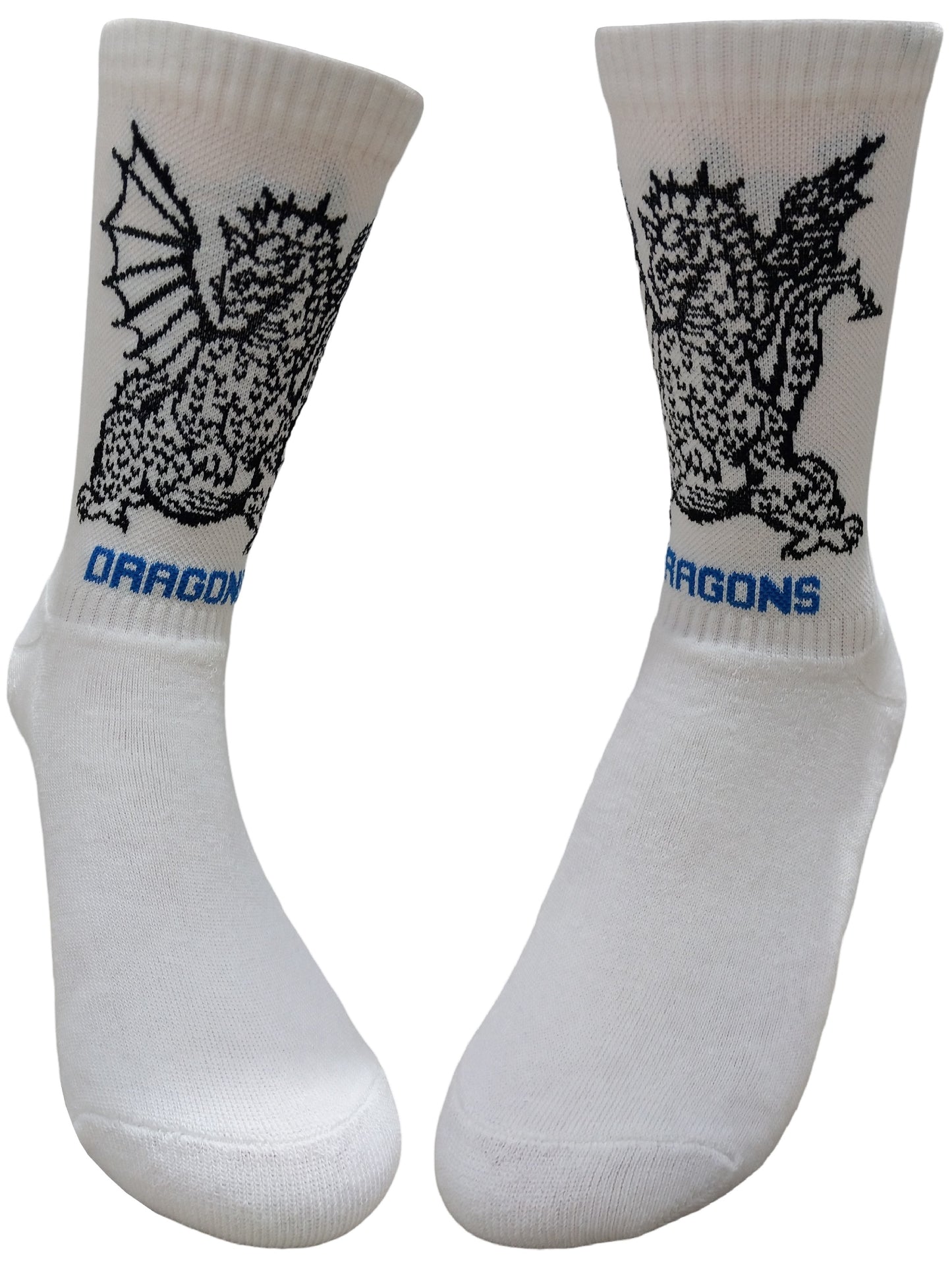 Oak Park Dragons Socks